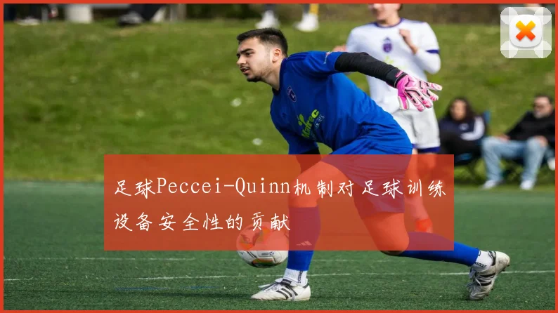 足球Peccei-Quinn机制对足球训练设备安全性的贡献