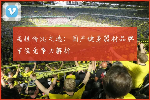 高性价比之选：国产健身器材品牌市场竞争力解析